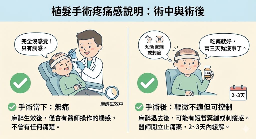 植髮手術局部麻醉與鎮靜說明 2