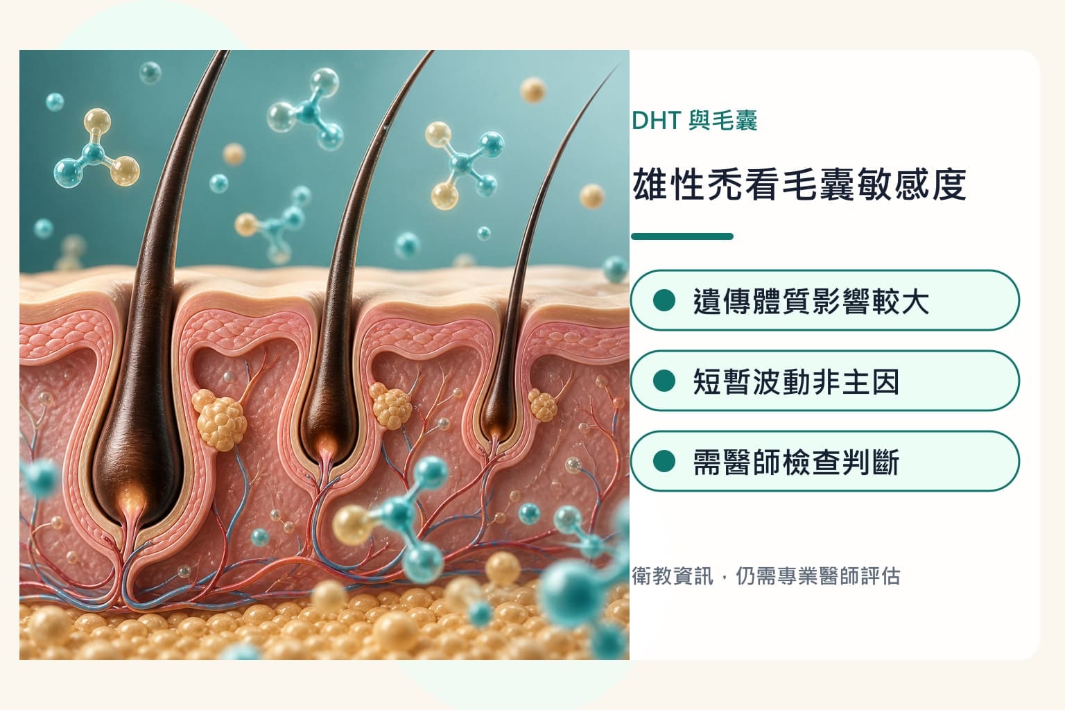 自慰手淫與掉髮迷思解析 1